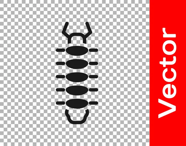 Icono Insecto Ciempiés Negro Aislado Sobre Fondo Transparente Vector — Vector de stock