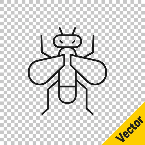 Línea Negra Icono Mosca Insecto Aislado Sobre Fondo Transparente Vector — Vector de stock