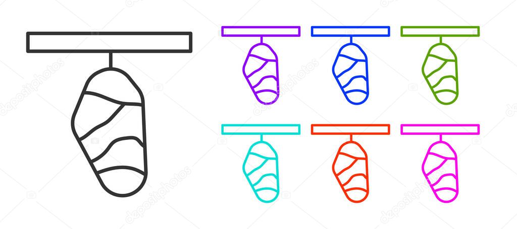 Black line Butterfly cocoon icon isolated on white background. Pupa of the butterfly. Set icons colorful. Vector.