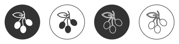 Schwarze Olivenzweig Symbol Isoliert Auf Weißem Hintergrund Kreis Taste Vektor — Stockvektor