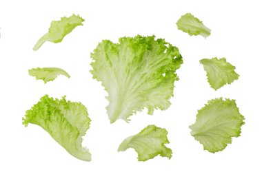 Beyaz arkaplanda yeşil marul