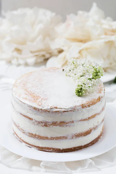 Close Delicioso Bolo Biscoito Com Creme — Fotografia de Stock