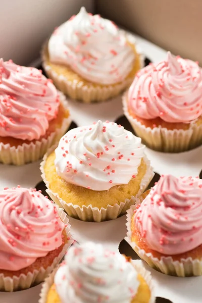 Mini Cupcakes Con Crema Primer Plano —  Fotos de Stock