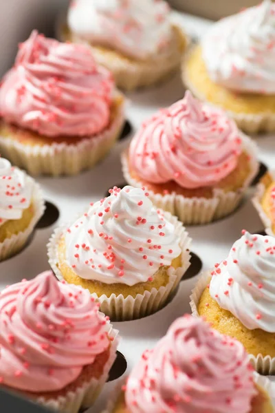 Mini Cupcakes Con Crema Primer Plano — Foto de Stock