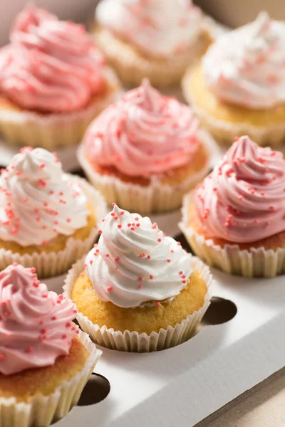 Mini Cupcakes Con Crema Primer Plano —  Fotos de Stock