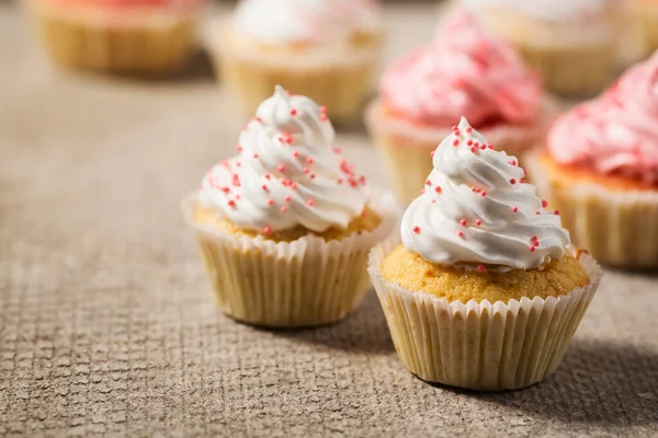 Mini Cupcakes Con Crema Primer Plano — Foto de Stock