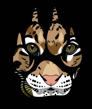 bir pençe baskı vahşi bir kedi namlu