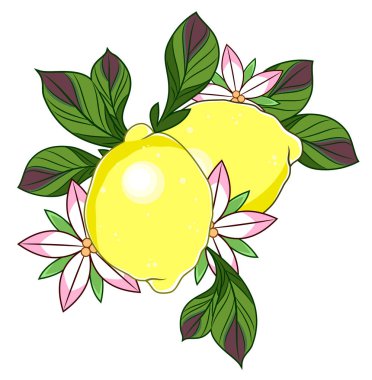 Olgunlaşmış meyve limon ile ağaçlar ve çiçekler