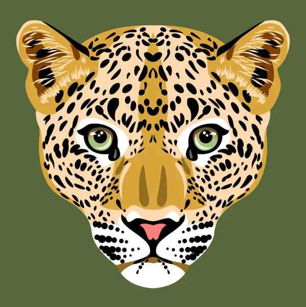 Portrait Young Spotted Leopard — Stock Vector