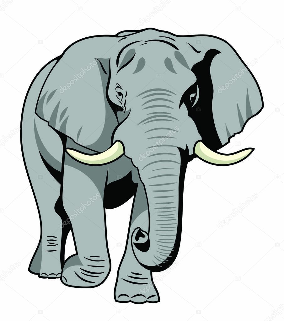 The image of a walking elephant in full growth
