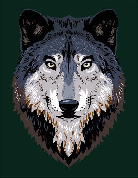 Beautiful Portrait Forest Wolf — Stock Vector