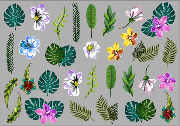 Kollektion Eine Reihe Tropischer Blumen Und Blätter — Stockvektor