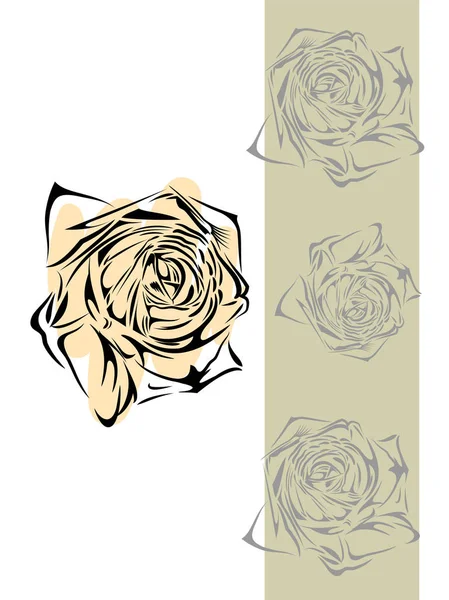 Obrys Kvetoucí Růže Výkresu Ručně — Stockový vektor