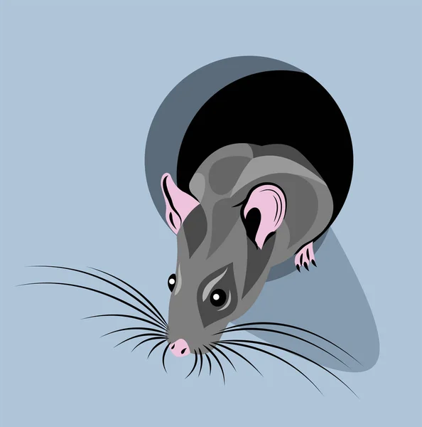 Eine Kleine Maus Schaut Aus Dem Loch — Stockvektor