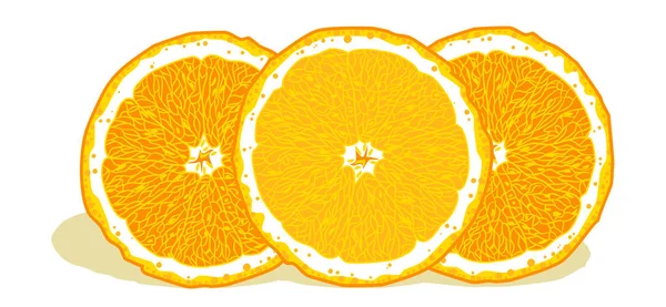 Oranges Vives Juteuses Dans Une Coupe — Image vectorielle