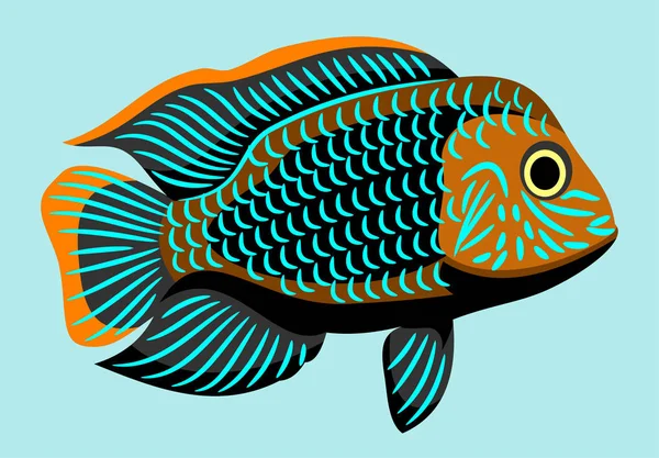 Bright Aquarium Fish Vector Drawing — Stock Vector