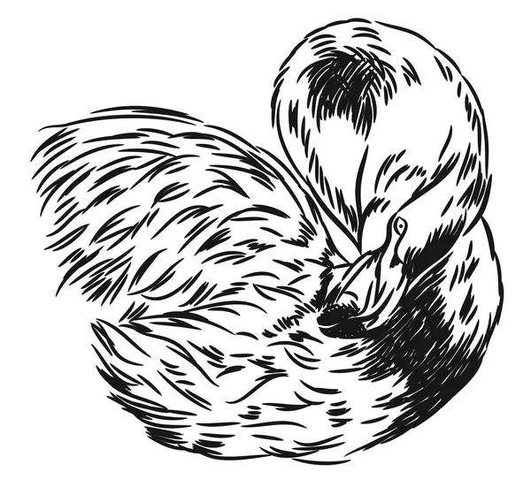 首の湾曲したフラミンゴ鳥のベクトル画像 フリーハンドでの描画 — ストックベクタ