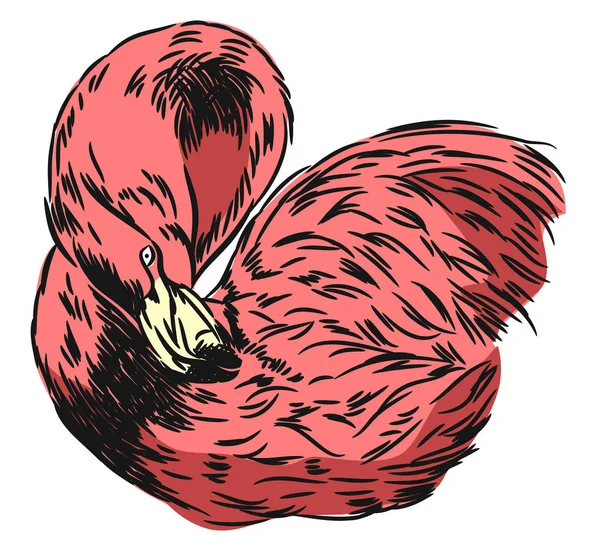 Imagem Vetorial Pássaro Flamingo Com Pescoço Curvo Desenho Mão Livre — Vetor de Stock