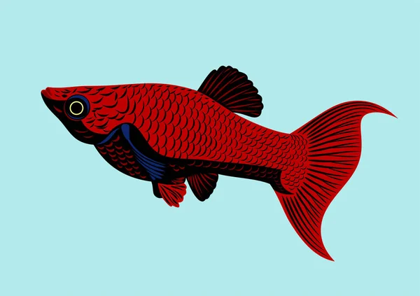 Bright Aquarium Fish Freehand Drawing — Stock Vector