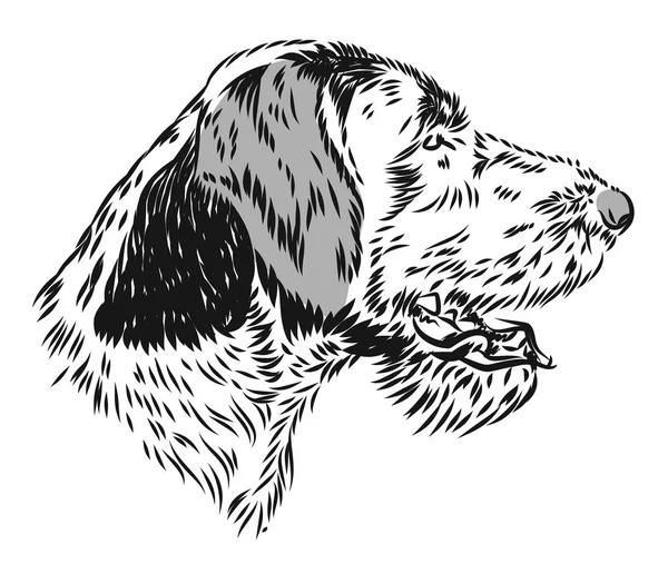 Portrait Gun Dog Freehand Drawing — Stock Vector