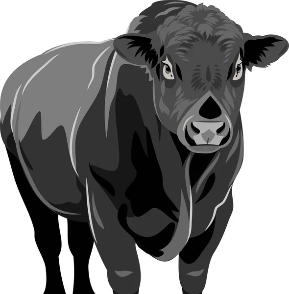 Portrait Bull — Stock Vector