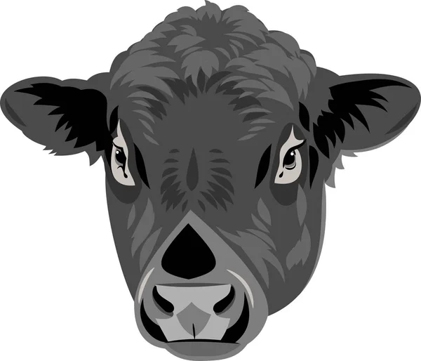 Portrait Bull — Stock Vector