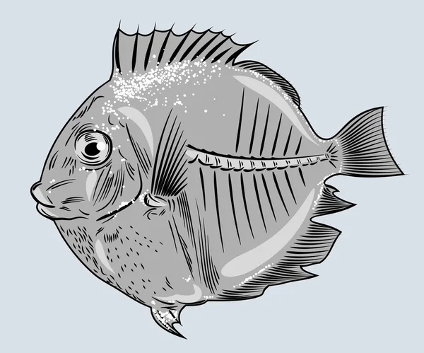 面白い魚 手書き図面 彫刻をラウンドします — ストックベクタ
