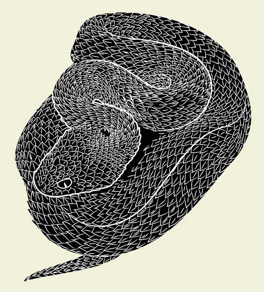 Serpente Enrolada Desenho Mão Livre Gravura Doodle Plana — Vetor de Stock