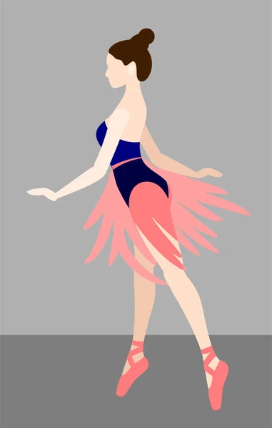 Ballerina Pointe Skor Och Strump Byxor — Stock vektor