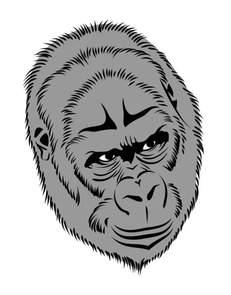 Retrato Gorila Imagen Vectorial Mono — Archivo Imágenes Vectoriales