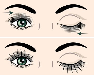 Eyes with extended artificial eyelashes clipart