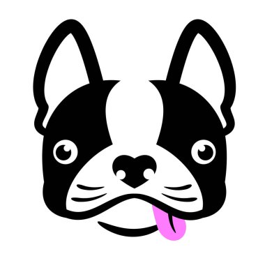 Bir Fransız bulldog komik ve sevimli portre