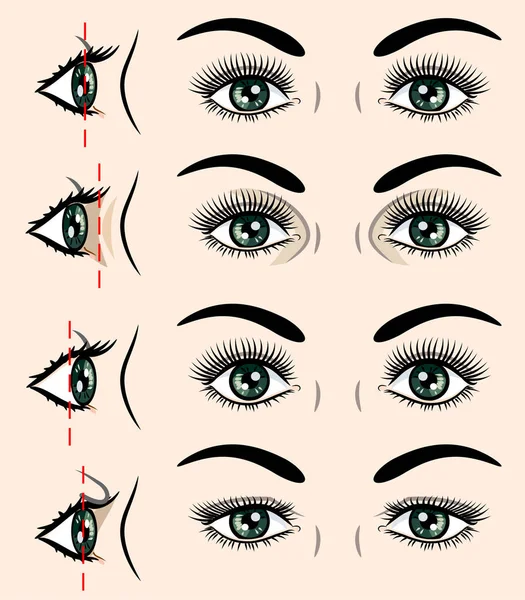 人間の目の様々な形態 — ストックベクタ