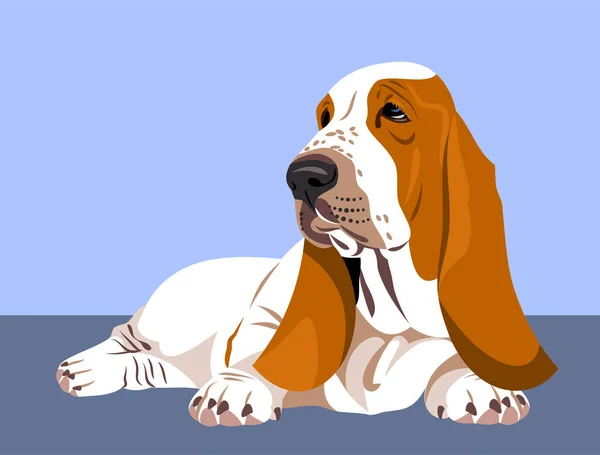 Χαριτωμένο Σκυλί Μπάσετ Κυνηγόσκυλο — Διανυσματικό Αρχείο