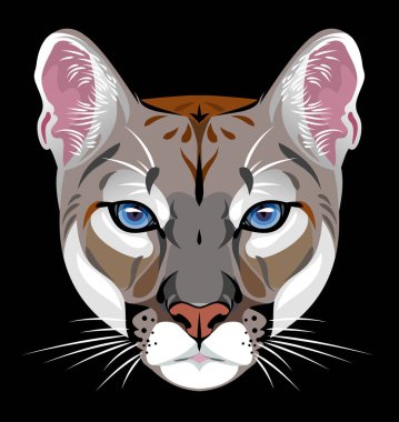 Pumaların vektör portresi, vahşi kedi