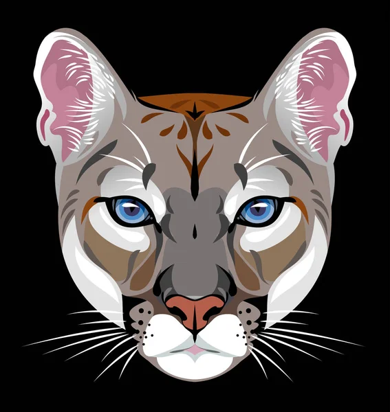 Vector Portrait Cougars Wild Cat — Stock Vector