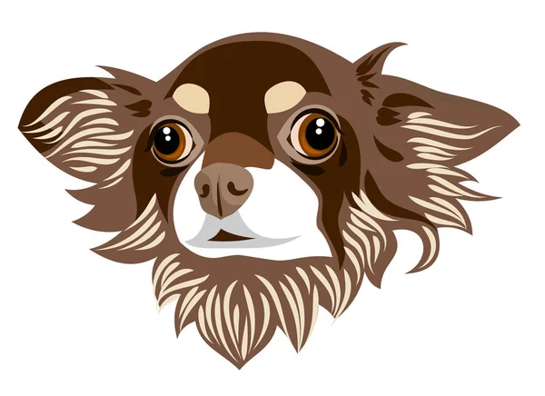 Retrato Perro Chihuahua Con Orejas Grandes Ojos Redondos — Archivo Imágenes Vectoriales