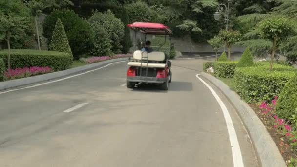 Pessoas Que Passam Carrinhos Golfe — Vídeo de Stock