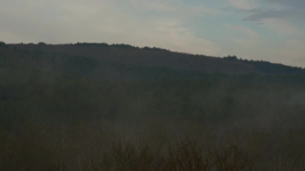 Hermoso Niebla Bosque Amanecer Timelapse — Vídeos de Stock