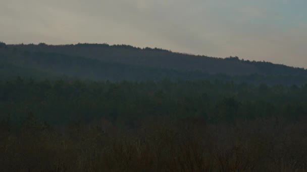 Belle forêt brumeuse brumeuse du matin au lever du soleil, laps de temps 