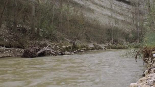 Inundación Agua Después Del Huracán Lluvia Torrencial Primavera — Vídeo de stock