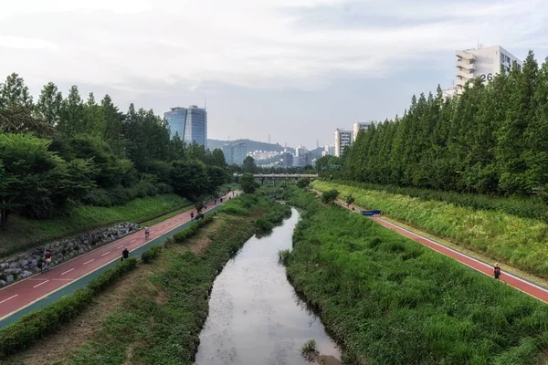 Mała Rzeczka Prowadzące Rzeki Han Rowerem Joggingu Wzdłuż Rzeki Seoul — Zdjęcie stockowe