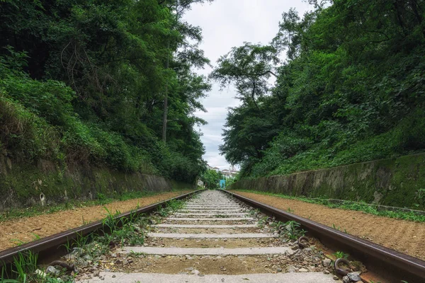 Hangdong Abandonné Chemin Fer Séoul Corée Sud — Photo