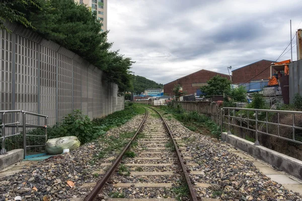 Hangdong Verlassene Eisenbahn Und Umliegende Häuser Und Geschäfte Südkorea — Stockfoto