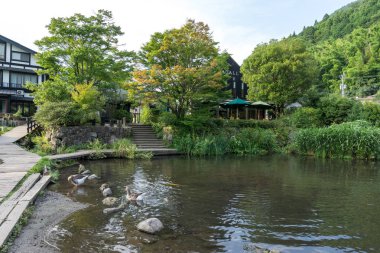 House, mağazalar ve kafeler sakin göl suya yansıtan kinrin göl boyunca. Yufuin, Japonya'da alınan