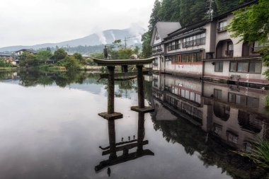 gri balıkçıl yakın kapı kinrin göl yufuin Japonya'da üstüne oturur. Sabah alınan