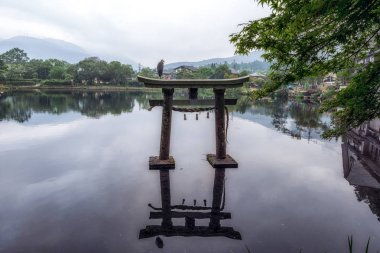 gri balıkçıl yakın kapı kinrin göl yufuin Japonya'da üstüne oturur. Sabah alınan