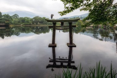 gri balıkçıl yakın kapı kinrin göl yufuin Japonya'da üstüne oturur. Sabah alınan