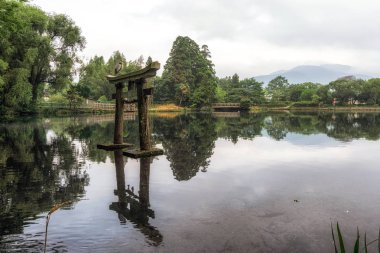 gri balıkçıl yakın kapı kinrin göl yufuin Japonya'da üstüne oturur. Sabah alınan