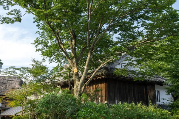 Maison Japonaise Traditionnelle Yufuin Préfecture Oita Japon — Photo